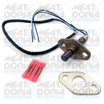 Oxygen Sensor